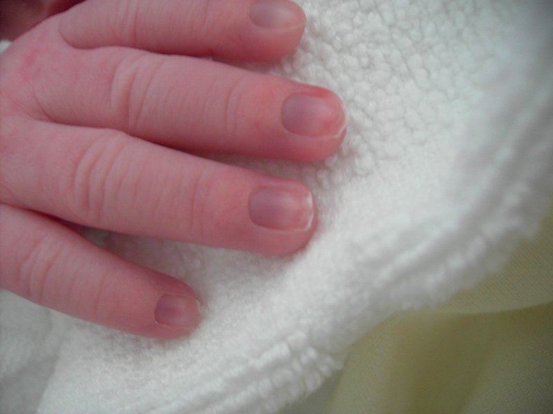 PICT3217.JPG